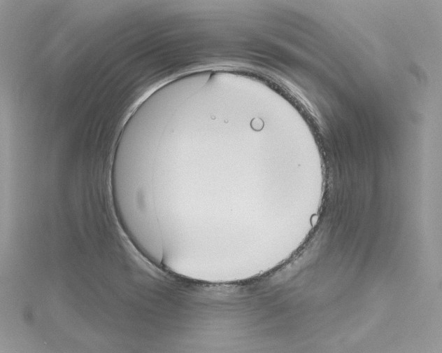 X0000114081417200911161006