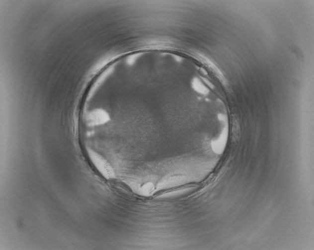 X0000114081419200911161006