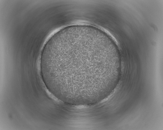 X0000114081421200911161006