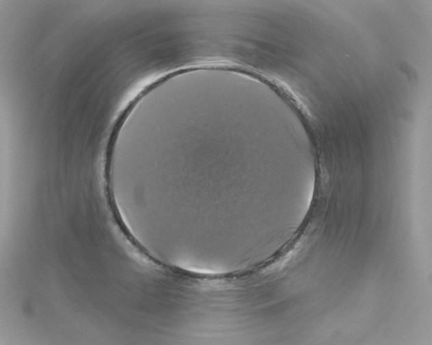 X0000114081422200911161006