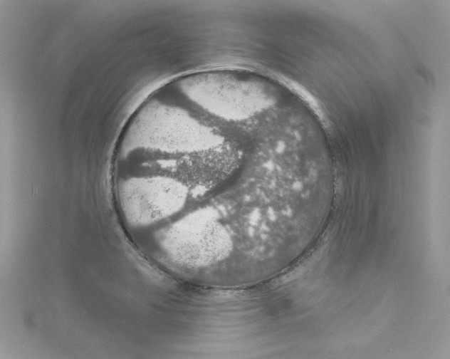 X0000114081423200911161006