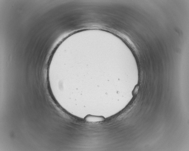 X0000114081424200911161006