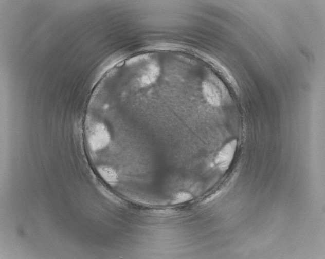 X0000114081425200911161006