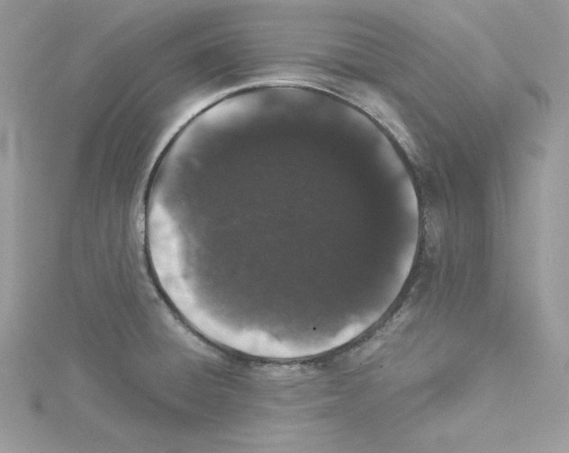 X0000114081428200911161006