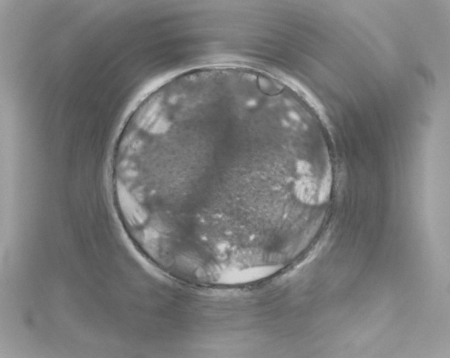 X0000114081429200911161006