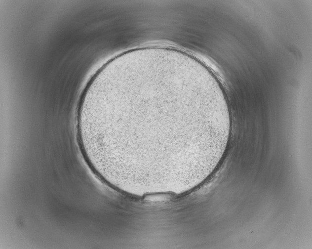 X0000114081430200911161006