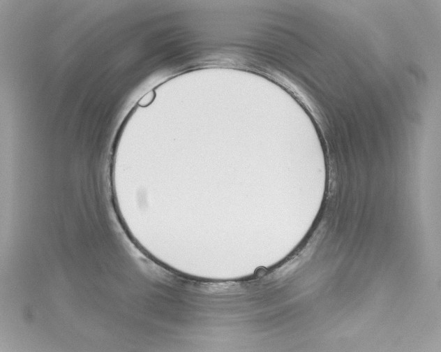 X0000114081434200911161006