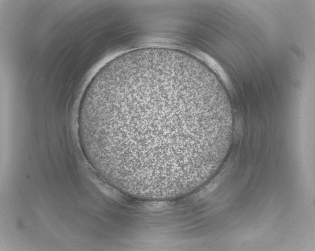 X0000114081435200911161006