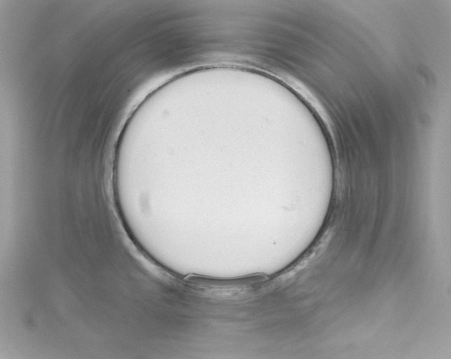 X0000114081437200911161006