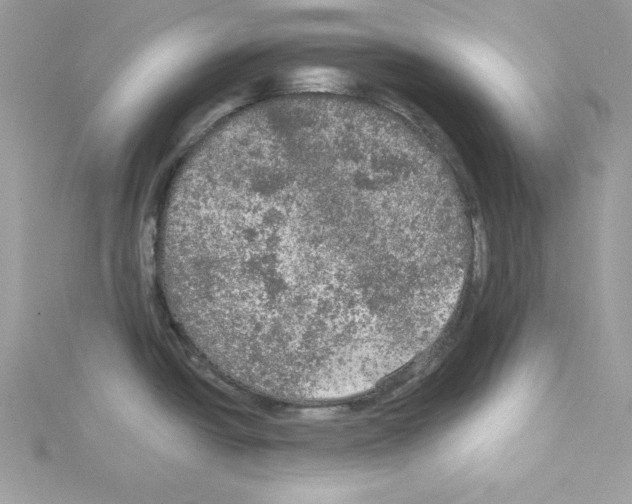 X0000114081438200911161007