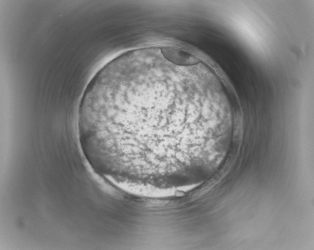 X0000114081439200911161007