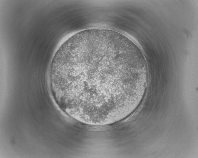 X0000114081440200911161007