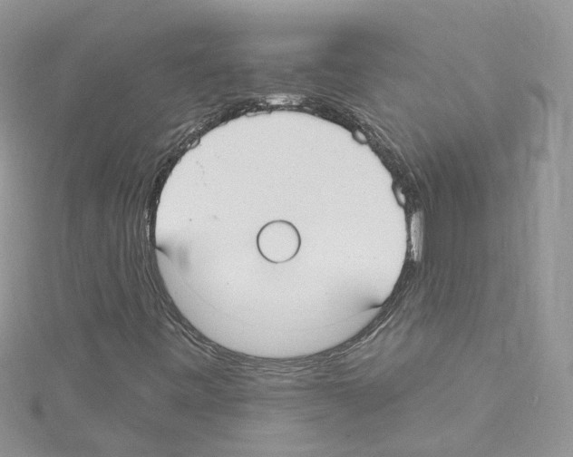 X0000114081443200911161006