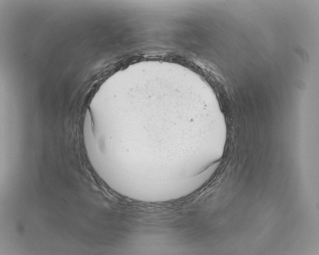 X0000114081445200911161006