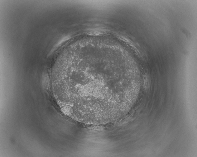 X0000114081446200911161006