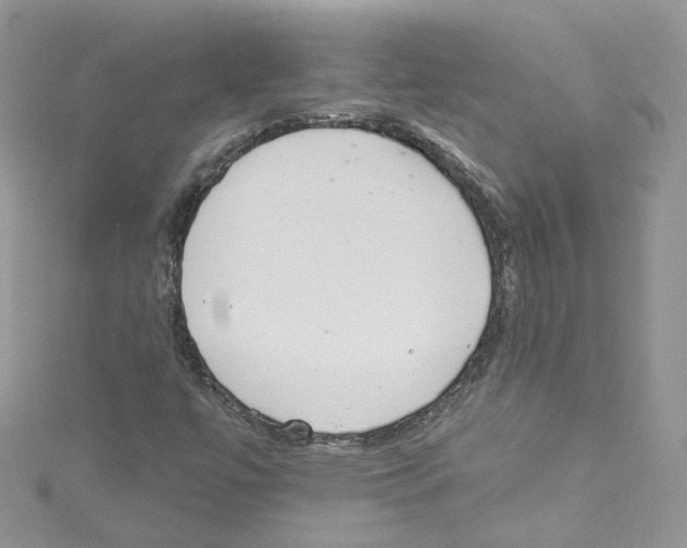 X0000114081447200911161006