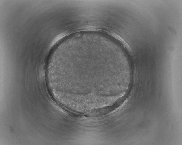 X0000114081450200911161006