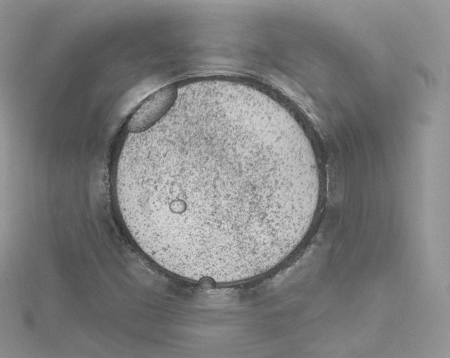 X0000114081453200911161006