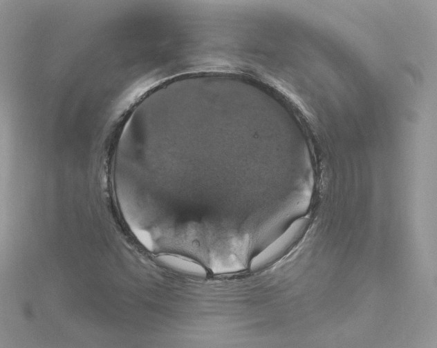 X0000114081455200911161006