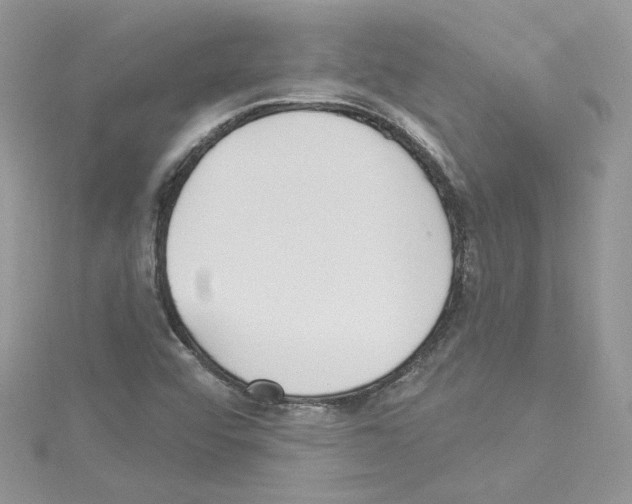 X0000114081456200911161006