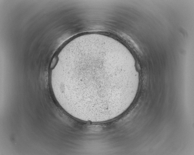 X0000114081457200911161006