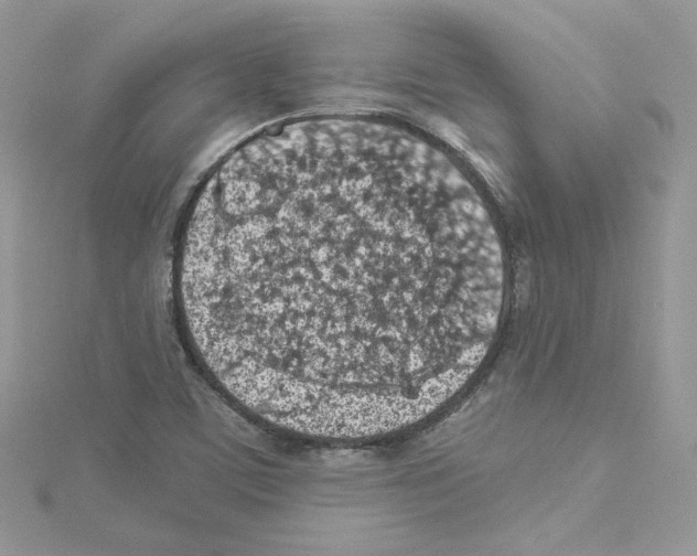 X0000114081459200911161006