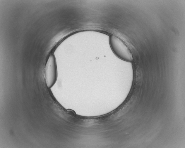 X0000114081461200911161006