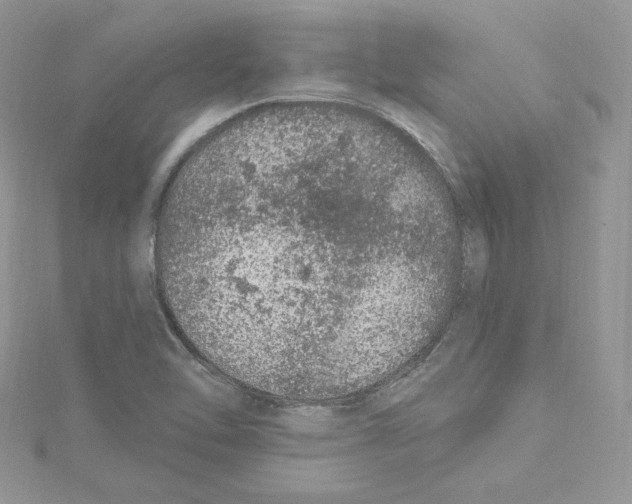 X0000114081462200911161006