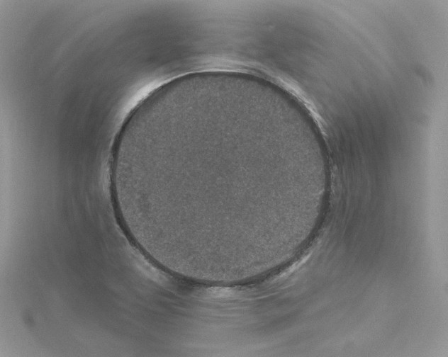 X0000114081463200911161006