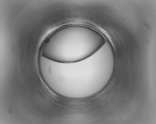 X0000114081464200911161006