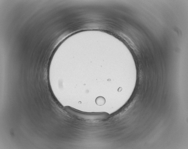 X0000114081465200911161006