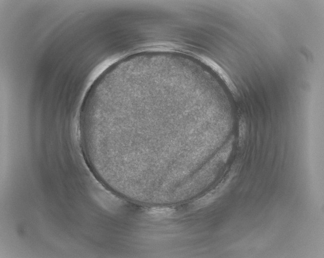 X0000114081466200911161006