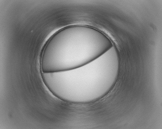 X0000114081468200911161006