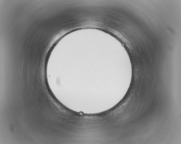 X0000114081469200911161006