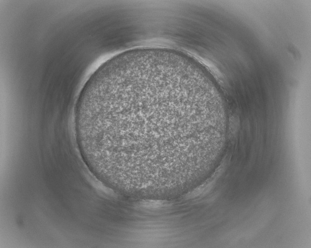 X0000114081470200911161006