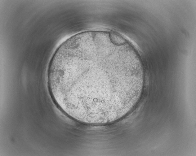 X0000114081471200911161006