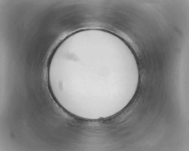 X0000114081472200911161006