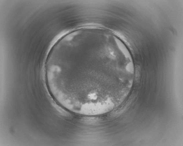 X0000114081474200911161005