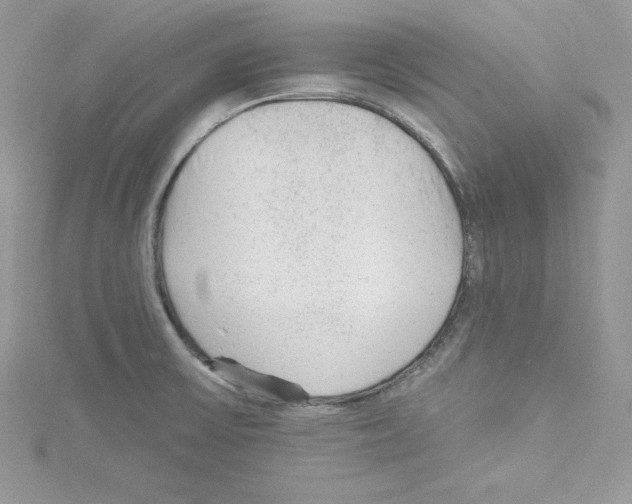 X0000114081475200911161005