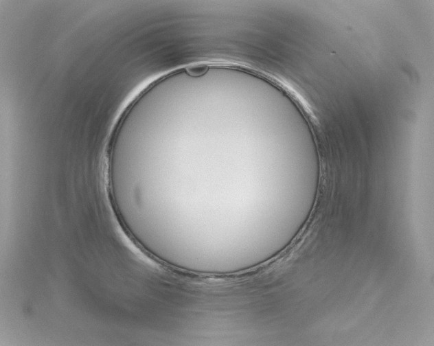 X0000114081476200911161005