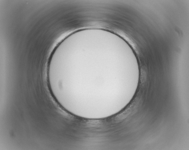 X0000114081477200911161005