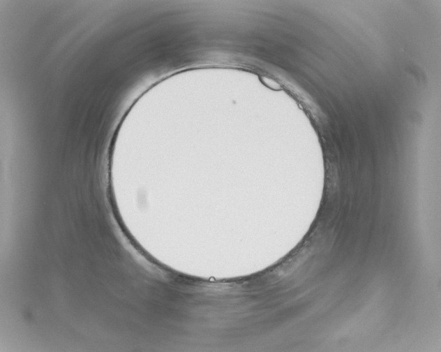 X0000114081479200911161005