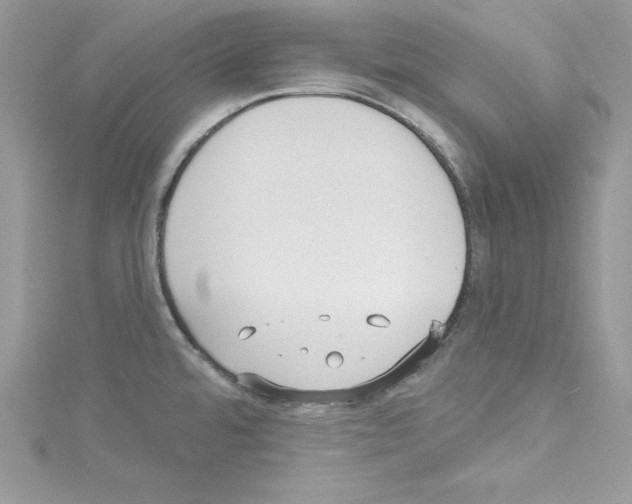 X0000114081480200911161005