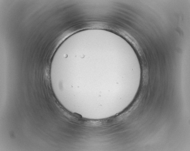 X0000114081481200911161005