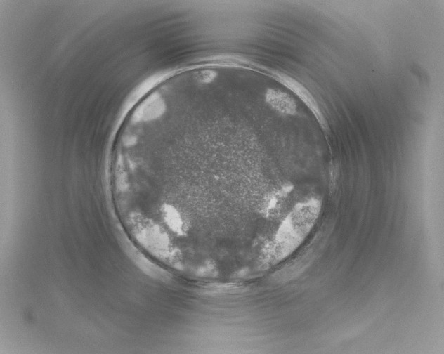 X0000114081482200911161005