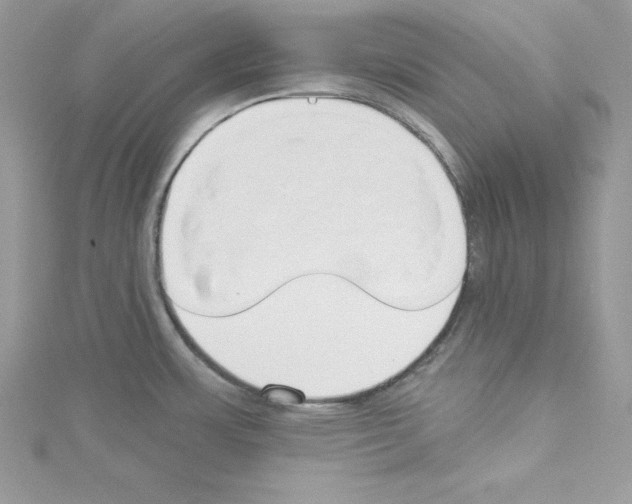 X0000114081483200911161005