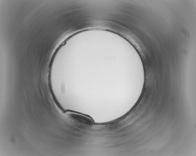 X0000114081484200911161005