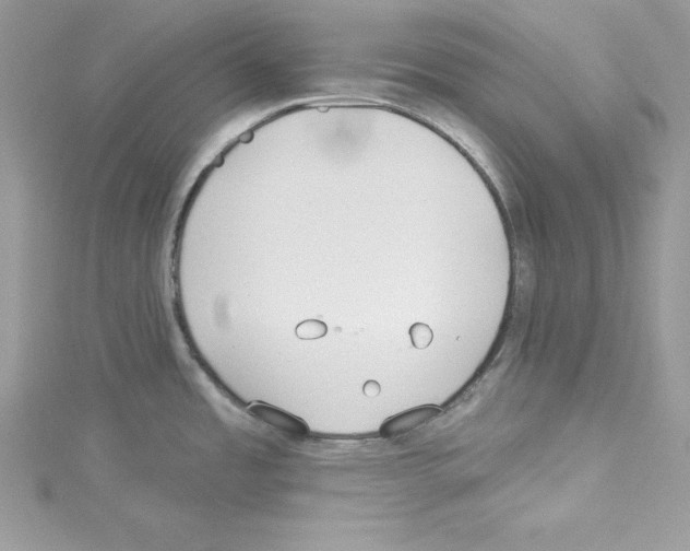 X0000114081485200911161005