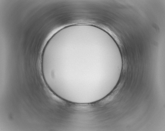 X0000114081486200911161005