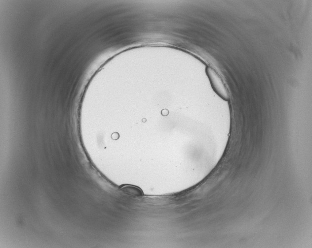 X0000114081488200911161005